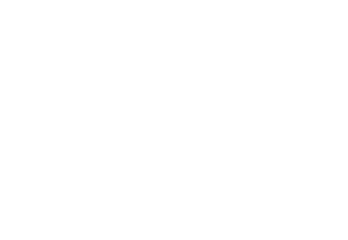 Q2 Ingressos